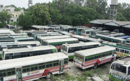 ਸੂਬੇ ਭਰ 'ਚ ਕਰਮਚਾਰੀਆਂ ਨੇ ਲਾਈਆਂ ਪਨਬੱਸ ਨੂੰ ਬਰੇਕਾਂ