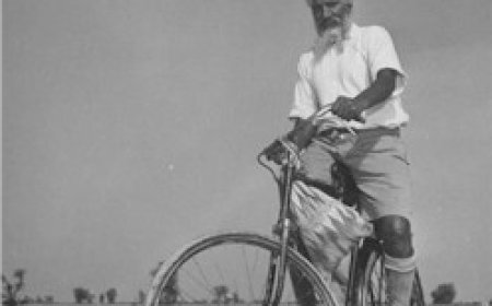 ਝੋਲੇ ਵਾਲਾ ਰਾਜਾ