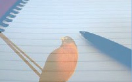 ਮੇਰੀਆਂ ਨੰਨ੍ਹੀਆਂ ਕਹਾਣੀਆਂ