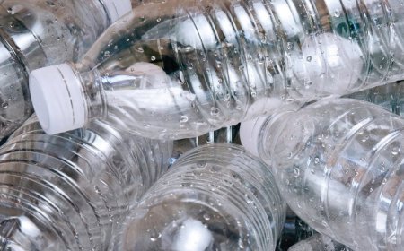 ਹੈਰਾਨੀਜਨਕ! ਹਰ ਹਫਤੇ ਤੁਹਾਡੇ ਅੰਦਰ ਜਾ ਰਹੀ ਇੱਕ ਕ੍ਰੈਡਿਟ ਕਾਰਡ ਜਿੰਨੀ ਪਲਾਸਟਿਕ