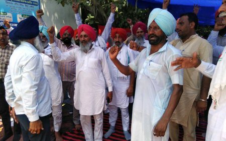 ਜੱਥੇਬੰਦੀ ਵਲੋਂ ਮੰਗਾਂ ਨੂੰ ਲੈ ਕੇ ਲਗਾਇਆ ਗਿਆ ਧਰਨਾ