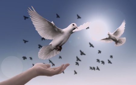 ਉੱਡਦੇ ਪਰਿੰਦੇ