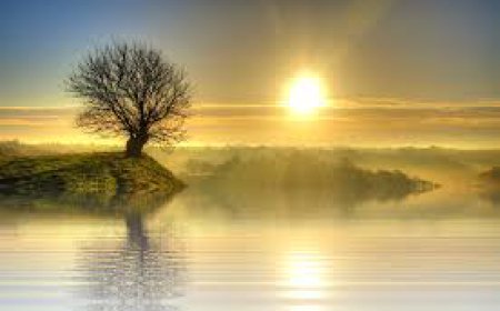 ਜੇਕਰ ਇੱਕ ਦਿਨ ਲਈ ਵੀ ਸੂਰਜ ਦੀ ਰੋਸ਼ਨੀ ਧਰਤੀ ਨੂੰ ਨਾਂ ਮਿਲਾ ਤਾਂ ਪੂਰੀ ਧਰਤੀ ਬਰਫ ਦੀ ਤਰ੍ਹਾਂ ਜੰਮ ਜਾਵੇਗੀ , 