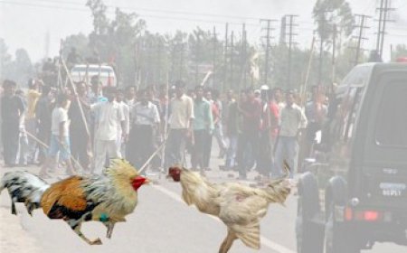 ਰਿਮ ਝਿਮ ਪਰਬਤ