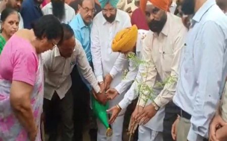 550ਵੇਂ  ਪ੍ਰਕਾਸ਼ ਪੁਰਬ ਨੂੰ ਸਮਰਪਿਤ ਅਨਾਥ ਆਸ਼ਰਮ 'ਚ ਲਾਏ 550 ਦਰੱਖਤ