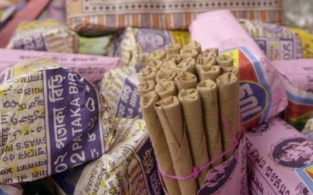 ਬੀੜੀ ਪੀਣ ਨਾਲ ਦੇਸ਼ ਨੂੰ ਹਰ ਸਾਲ 80 ਹਜ਼ਾਰ ਕਰੋੜ ਦਾ ਨੁਕਸਾਨ