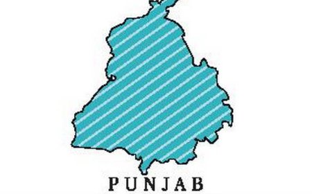 ਪੰਜਾਬੀ ਭਾਸ਼ਾ ਦੁਨੀਆ ਵਿੱਚ ਦੱਸਵੀਂ ਸਭ ਤੋਂ ਬੋਲੀ ਜਾਣ ਵਾਲੀ ਭਾਸ਼ਾ ਹੈ ।