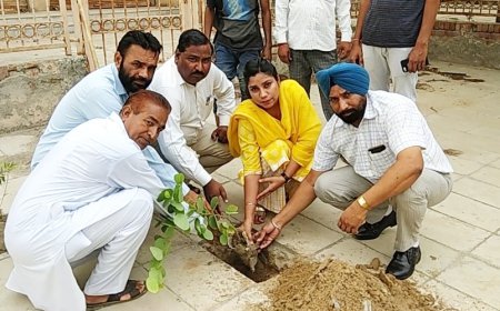 ਸ਼੍ਰੀ ਗੁਰੂ ਨਾਨਕ ਦੇਵ ਜੀ ਦੇ 550ਵੇਂ ਪ੍ਰਕਾਸ਼ ਪੁਰਬ ਨੂੰ ਸਮਰਪਿਤ ਲਗਾਏ ਗਏ 70 ਪੌਦੇ