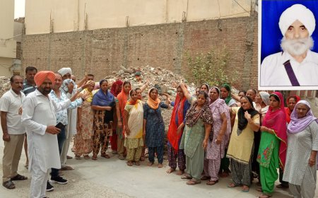 ਅਵਾਰਾ ਢੱਠੇ ਨੇ ਲਈ ਵਿਅਕਤੀ ਦੀ ਜਾਨ- ਪੜ੍ਹੋ ਪੂਰੀ ਖ਼ਬਰ