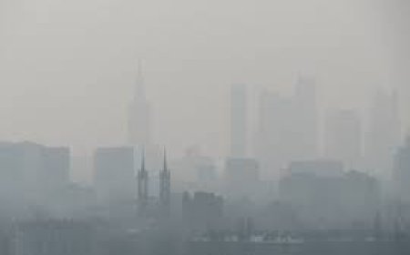 ਇਹ ਚੀਜ਼ਾਂ ਖਾਓ ਤੇ ਪਾਓ ਪ੍ਰਦੂਸ਼ਣ ਤੋਂ ਹੋਣ ਵਾਲੀਆਂ ਸਮੱਸਿਆਵਾਂ ਤੋਂ ਛੁਟਕਾਰਾ