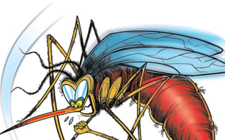 ਡੇਂਗੂ ਦੀ ਦਸਤਕ ਨੇ ਵਧਾਈ ਕੇਂਦਰ ਸਰਕਾਰ ਦੀ ਚਿੰਤਾ