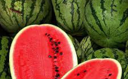 ਹਦਵਾਣਾ ਹੀ ਨਹੀਂ, ਇਸ ਦੇ ਬੀਜਾਂ 'ਚ ਵੀ ਲੁਕਿਆ ਸਿਹਤ ਦਾ ਖ਼ਜ਼ਾਨਾ, ਇਸ ਤਰ੍ਹਾਂ ਕਰੋ ਸੇਵਨ