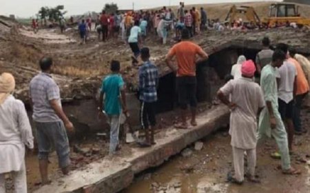 ਗਊਸ਼ਾਲਾ ਦਾ ਲੈਂਟਰ ਡਿੱਗਣ ਕਾਰਨ   ਸੈਂਕੜੇ ਗਊਆਂ ਹੇਠਾਂ ਦੱਬੀਆਂ