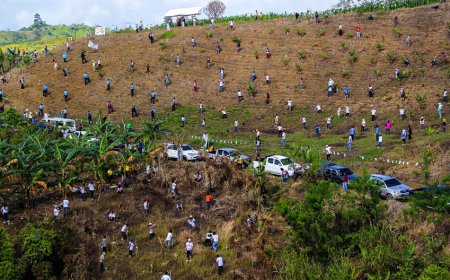 ਫਿਲਪਾਈਨਜ਼ ਨੇ ਸਿਰਫ ਇੱਕ ਘੰਟੇ ਵਿੱਚ 3 ਲੱਖ 20  ਹਜ਼ਾਰ ਦਰਖ਼ੱਤ ਲਗਾ ਕੇ ਵਰਲਡ ਰਿਕਾਰਡ ਬਣਾ ਦਿੱਤਾ ।