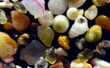 ਕਿ ਤੁਸੀਂ ਜਾਣਦੇ ਹੋ ਇਹ ਕਿ ਆ ? ਇਹ ਰੇਤ ਦੇ ਕਣ ਨੇ ਜੋ ਕਿ ਮਾਈਕਰੋਸਕੋਪ ਵਿੱਚੋਂ ਇਸ ਤਰਾਂ ਦਿਸਦੇ ਨੇ ।