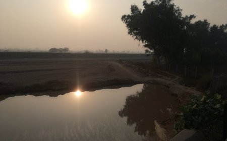 ਧੁੱਪ-ਛਾਂ