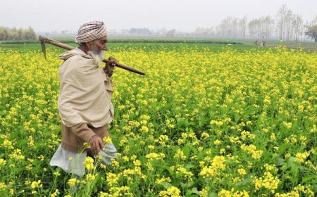 ਕਿਸਾਨਾਂ ਲਈ ਖੁਸ਼ਖਬਰੀ! ਹੁਣ ਸਿਰਫ਼ ਦੋ ਹਫ਼ਤਿਆਂ 'ਚ ਕ੍ਰੈਡਿਟ ਕਾਰਡ
