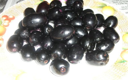 ਜਾਮਣਾਂ ਨਾਲ ਕਦੀ ਨਾ ਖਾਓ ਇਹ ਚੀਜ਼ਾਂ, ਬਣ ਸਕਦੀਆਂ ਜ਼ਹਿਰ