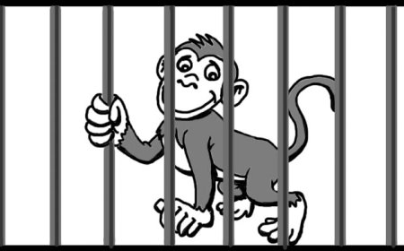 ਸਾਲ 2011 ਵਿੱਚ ਇੱਕ ਬਾਂਦਰ ਨੂੰ ਗ੍ਰਿਫ਼ਤਾਰ ਕਰ ਲਿਆ ਸੀ ਵਜਾ ਇਹ ਸੀ ਕਿ ਉਸ ਨੇ ਪਾਕਿਸਤਾਨ ਦਾ ਬਾਰਡਰ ਪਾਰ ਕਰ ਲਿਆ ਸੀ।