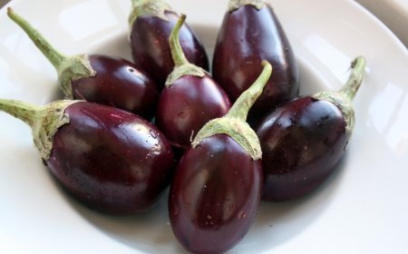 ਇਹ ਬੈਂਗਣ ਬੜੇ ਕੰਮ ਦਾ, ਗੁਣ ਜਾਣ ਕਹੋਗੇ ਕਿ ਵੱਧ ਤੋਂ ਵੱਧ ਖਾਓ ਇਹ ਸਬਜ਼ੀ