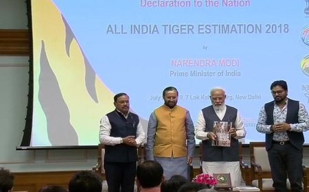 ਕੌਮਾਂਤਰੀ ਟਾਈਗਰ ਦਿਵਸ ਮੌਕੇ ਪ੍ਰਧਾਨ ਮੰਤਰੀ ਨਰਿੰਦਰ ਮੋਦੀ ਨੇ ਖੁਸ਼ਖ਼ਬਰੀ