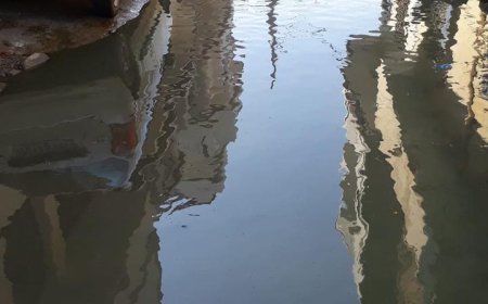 ਗਲੀਆਂ ਵਿੱਚ ਖੜ੍ਹਾ ਪਾਣੀ ਦੇ ਰਿਹਾ ਹੈ ਬਿਮਾਰੀਆਂ ਨੂੰ ਸੱਦਾ