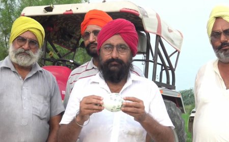 ਫਰੀਦਕੋਟ : ਖੇਤਾਂ 'ਚੋਂ ਮਿਲੇ ਪਾਕਿਸਤਾਨੀ ਗੁਬਾਰੇ, ਲੋਕਾਂ 'ਚ ਦਹਿਸ਼ਤ