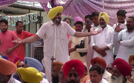 ਮਾਨਸਾ 'ਚ 'ਬਿਜਲੀ ਅੰਦੋਲਨ' ਤਹਿਤ 'ਆਪ' ਨੇ ਕੀਤਾ ਰੋਸ ਮਾਰਚ