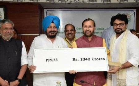 ਮੁੱਖ ਮੰਤਰੀ ਦੀ ਅਪੀਲ ਸਵੀਕਾਰ, ਕੇਂਦਰ ਵੱਲੋਂ ਕੈਂਪਾ ਫੰਡ ਲਈ 1040 ਕਰੋੜ ਰੁਪਏ ਪ੍ਰਵਾਨ