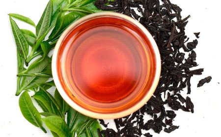 ਦਿਨ ਭਰ ਰਹਿਣਾ ਤਰੋਤਾਜ਼ਾ ਤਾਂ ਰੋਜ਼ਾਨਾ ਪੀਓ ਇਹ ਚੀਜ਼