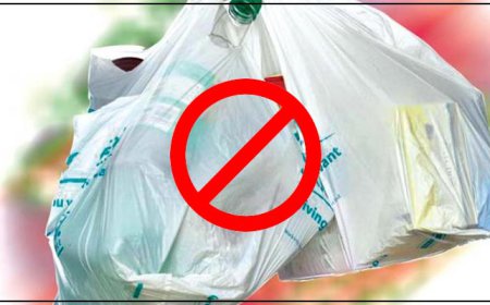 ਪੰਜਾਬ ’ਚ ਪਲਾਸਟਿਕ ਦੇ ਲਿਫਾਫਿਆਂ ’ਤੇ 2 ਅਕਤੂਬਰ ਤੋਂ ਲੱਗੇਗੀ ਪੂਰਨ ਪਾਬੰਦੀ