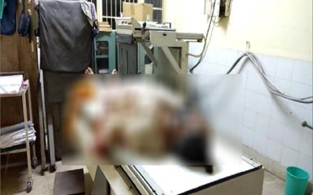 ਰੰਜਿਸ਼ ਦੇ ਚੱਲਦੇ ਵਿਅਕਤੀ 'ਤੇ ਕੀਤਾ ਹਮਲਾ, ਜ਼ਖਮੀ