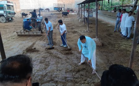 ਭਾਰਤੀ ਜਨਤਾ ਪਾਰਟੀ ਮੰਡਲ ਮਲੋਟ ਵੱਲੋਂ  ਨੰਦੀ ਗ੍ਰਾਮ ਗਊਸ਼ਾਲਾ ਮੰਡੀ ਹਰਜੀ ਰਾਮ ਮਲੋਟ ਵਿਖੇ ਕੀਤੀ ਗਈ ਸੇਵਾ