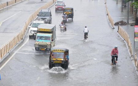 ਪੰਜਾਬ ਦੇ ਕਈ ਇਲਾਕਿਆਂ ‘ਚ ਪਿਆ ਭਾਰੀ ਮੀਂਹ, ਮੌਸਮ ਹੋਇਆ ਠੰਡਾ