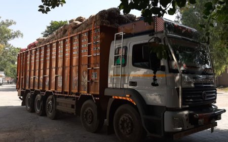 ਬਠਿੰਡਾ 'ਚ ਪਿਆਜ਼ਾਂ ਨਾਲ ਭਰਿਆ ਟਰੱਕ ਲੁੱਟਣ ਦੀ ਨੀਅਤ ਨਾਲ ਡਰਾਈਵਰ ਦਾ ਕਤਲ