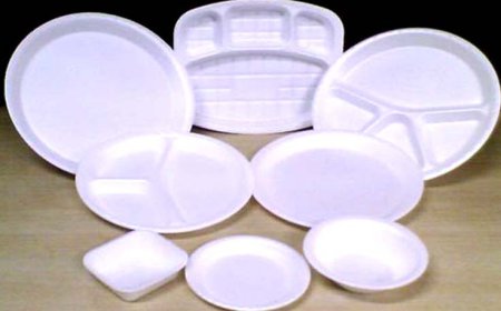 ਸਰਕਾਰੀ ਹਸਪਤਾਲਾਂ 'ਚ ਡਿਸਪੋਜ਼ੇਬਲ ਪਲੇਟਾਂ 'ਚ ਨਾ ਪਰੋਸਿਆ ਜਾਵੇ ਲੰਗਰ