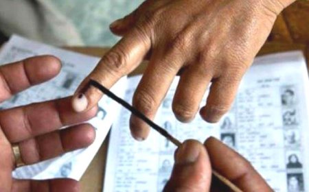 ਜਾਣੋ ਹੁਣ ਤੱਕ ਕਿਹੜੇ ਹਲਕੇ 'ਚ ਕਿੰਨੇ ਫੀਸਦੀ ਪਈਆਂ ਵੋਟਾਂ