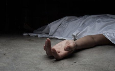 ਬਿਜਲੀ ਬੋਰਡ ਦੇ ਮੁਲਾਜ਼ਮ ਦੀ ਸੜਕ ਹਾਦਸੇ 'ਚ ਹੋਈ ਦਰਦਨਾਕ ਮੌਤ