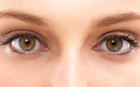 ਸਾਡੇ ਸਰੀਰ ਵਿੱਚ ਸਭ ਤੋਂ ਜ਼ਿਆਦਾ ਪਤਲੀ ਚਮੜੀ ਸਾਡੀਆਂ ਅੱਖਾਂ ਦੀ ਹੁੰਦੀ ਹੈ 0.੨ ਤੋਂ  0.5mm ਤੱਕ