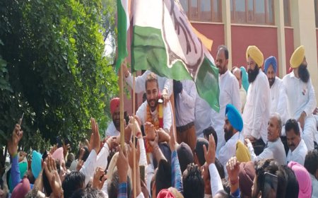 ਜਲਾਲਾਬਾਦ ਤੋਂ ਕਾਂਗਰਸ ਦੇ ਉਮੀਦਵਾਰ ਰਮਿੰਦਰ ਸਿੰਘ ਆਵਲਾ ਨੇ ਮਾਰੀ ਬਾਜ਼ੀ