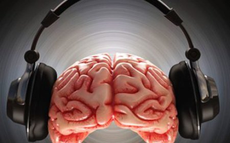 ਸਿਰਫ਼ ਇੱਕ ਘੰਟਾ ਹੈਡਫੋਨ ਲਗਾਉਣ ਨਾਲ ਸਾਡੇ ਕੰਨਾਂ ਵਿੱਚ ਜੀਵਾਣੂਆਂ ਦੀ ਮਾਤਰਾ 700 ਗੁਣਾ ਵੱਧ ਜਾਂਦੀ ਹੈ ।