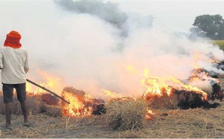 ਖੇਤਾਂ ‘ਚ ਪਰਾਲੀ ਨੂੰ ਲੱਗੀ ਅੱਗ ਕਾਰਨ ਵਾਪਰਿਆ ਹਾਦਸਾ