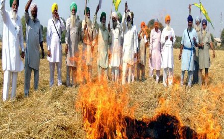 ਝੋਨੇ ਦੀ ਪਰਾਲੀ ਨੂੰ ਅੱਗ ਲਾਉਣ 'ਚ ਸਰਕਾਰ ਦੀਆਂ ਗਲਤ ਨੀਤੀਆਂ ਜਿੰਮੇਵਾਰ