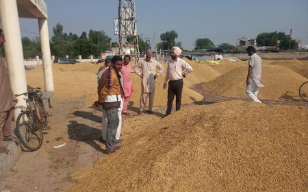 ਐਸ.ਡੀ.ਐਮ ਵੱਲੋਂ ਮੰਡੀਆਂ ਦਾ ਦੌਰਾ