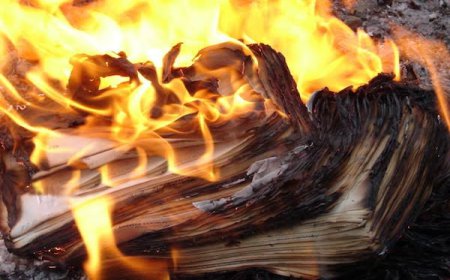 Poerty :- ਵਰਕੇ