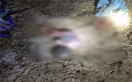 ਇਨਸਾਨੀਅਤ ਸ਼ਰਮਸਾਰ : ਮੱਛੀ ਪਲਾਂਟ 'ਚੋਂ ਮਿਲਿਆ ਭਰੂਣ