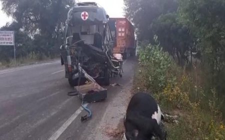 ਮਲੋਟ-ਅਬੋਹਰ ਰੋਡ 'ਤੇ ਵਾਪਰਿਆ ਭਿਆਨਕ ਹਾਦਸਾ