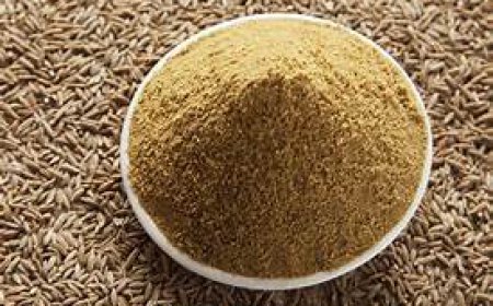 ਖਾਣਾ ਬਣਾਉਣ ਲਈ ਜੇ ਕਰਦੇ ਹੋ ਜੀਰੇ ਦਾ ਇਸਤੇਮਾਲ ਤਾਂ ਹੋ ਜਾਓ ਸਾਵਧਾਨ,