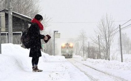 ਰੌਚਿਕ ਤੱਤ