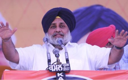 ਸੁਖਬੀਰ ਸਿੰਘ ਬਾਦਲ ਵੱਲੋਂ ਅਕਾਲੀ ਦਲ ਦੇ 100 ਸਾਲਾ ਸਥਾਪਨਾ ਦਿਵਸ ਦੀਆਂ ਤਿਆਰੀਆਂ ਸਬੰਧੀ ਪਾਰਟੀ ਆਗੂਆਂ ਦੀ ਇੱਕ ਉਚ ਪੱਧਰੀ ਕਮੇਟੀ ਦਾ ਗਠਨ